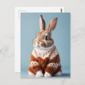 Rabbit en pull, Carte postale de poste (Devant / Derrière)