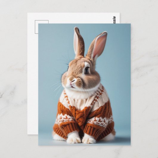Rabbit en pull, Carte postale de poste (Devant / Derrière)