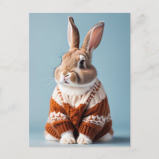 Rabbit en pull, Carte postale de poste (Devant)