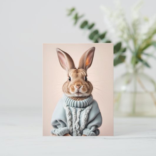 Rabbit en pull, Carte postale de poste (Debout devant)