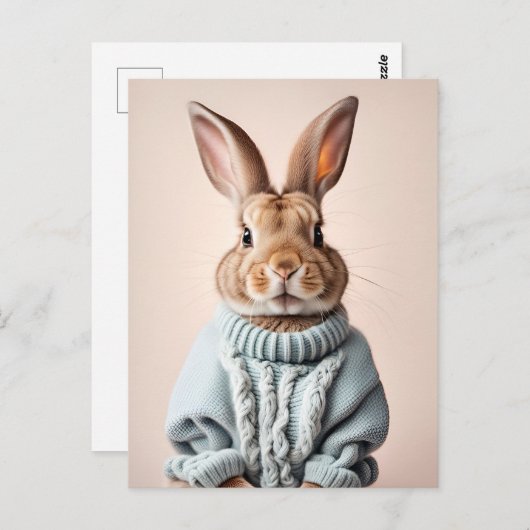 Rabbit en pull, Carte postale de poste (Devant / Derrière)