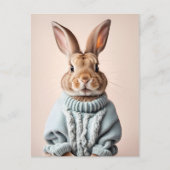 Rabbit en pull, Carte postale de poste (Devant)