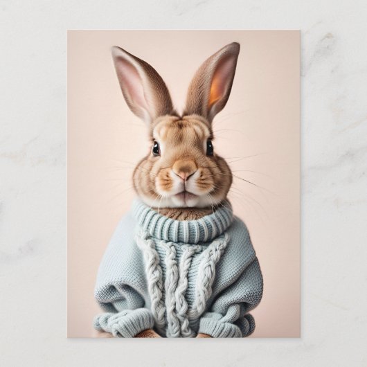 Rabbit en pull, Carte postale de poste (Devant)