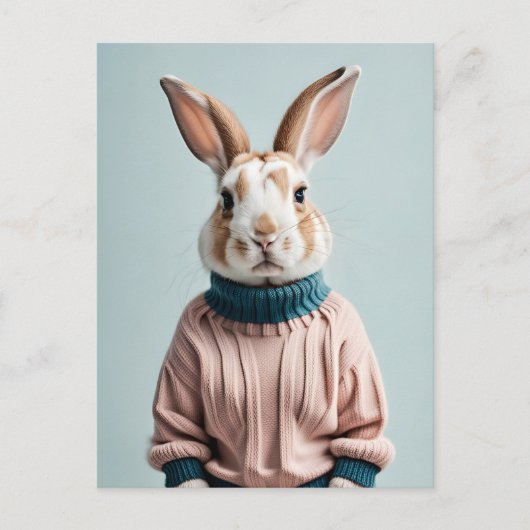 Rabbit en pull, Carte postale de poste (Devant)
