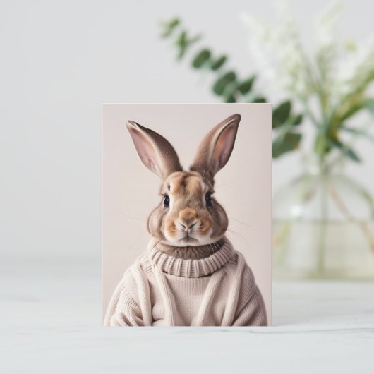 Rabbit en pull, Carte postale de poste (Debout devant)