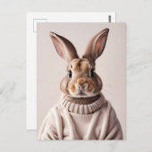 Rabbit en pull, Carte postale de poste (Devant / Derrière)
