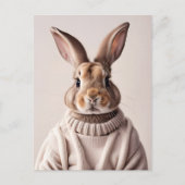 Rabbit en pull, Carte postale de poste (Devant)