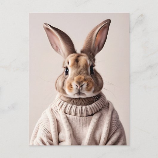 Rabbit en pull, Carte postale de poste (Devant)
