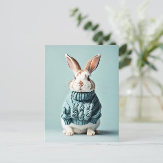 Rabbit en pull, Carte postale de poste (Debout devant)