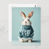 Rabbit en pull, Carte postale de poste (Devant / Derrière)