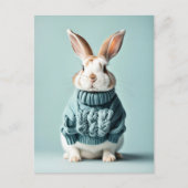Rabbit en pull, Carte postale de poste (Devant)