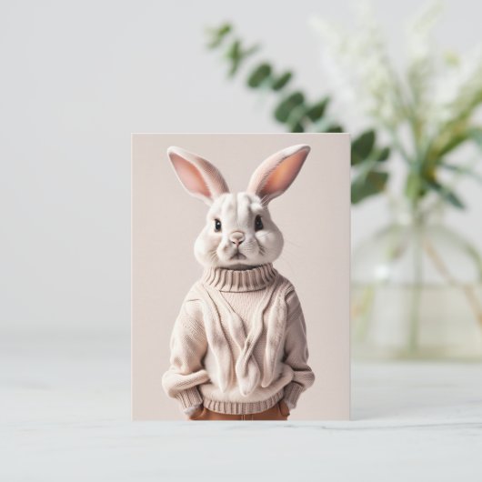 Rabbit en pull, Carte postale de poste (Debout devant)
