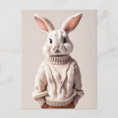 Rabbit en pull, Carte postale de poste (Devant)