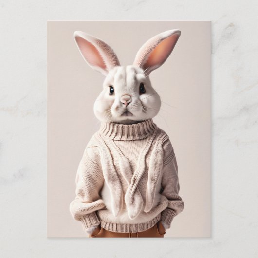 Rabbit en pull, Carte postale de poste (Devant)