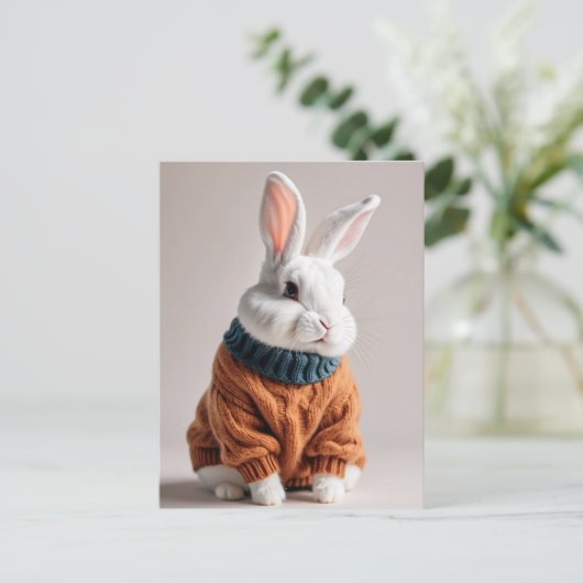 Rabbit en pull, Carte postale de poste (Debout devant)