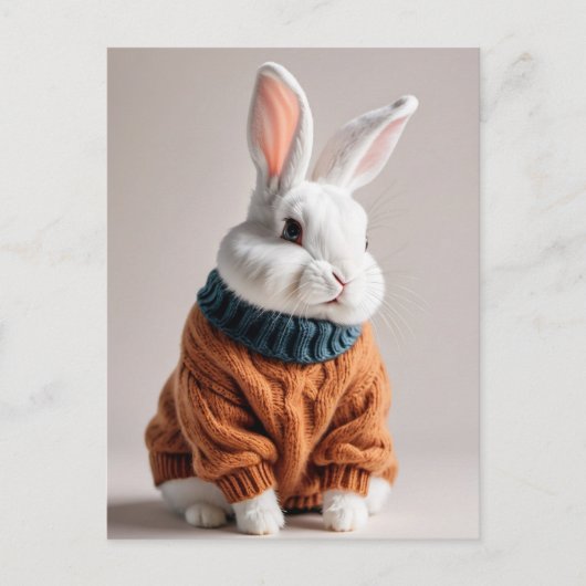 Rabbit en pull, Carte postale de poste (Devant)