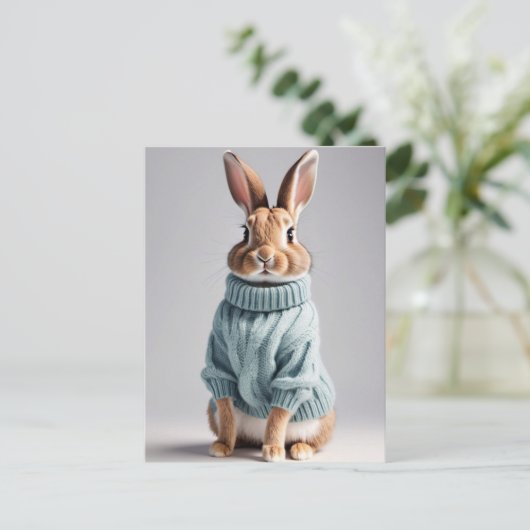 Rabbit en pull, Carte postale de poste (Debout devant)