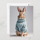Rabbit en pull, Carte postale de poste (Devant / Derrière)