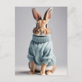Rabbit en pull, Carte postale de poste (Devant)