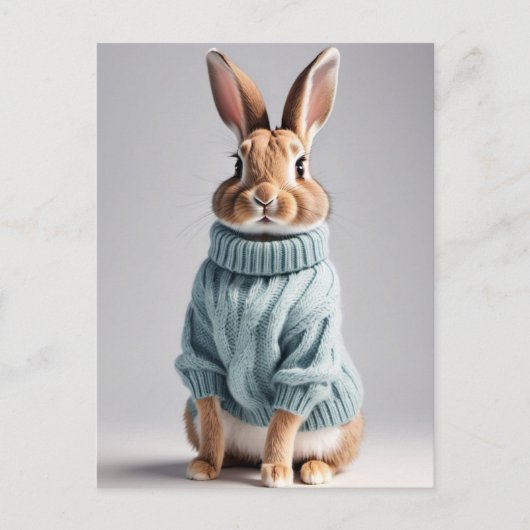 Rabbit en pull, Carte postale de poste (Devant)