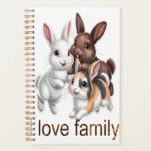Rabbit family (Devant)