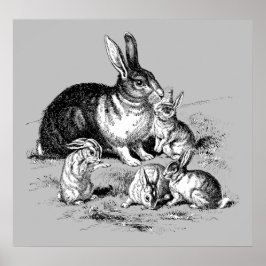 Rabbit Family - Archivering Print
