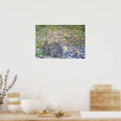 Rabbit Foto Poster (Keuken)