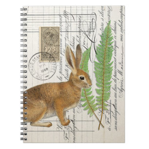 Rabbit français avec Carnet de la revue Spiral Fer
