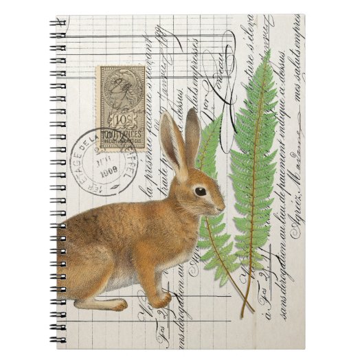 Rabbit français avec Carnet de la revue Spiral Fer (Devant)