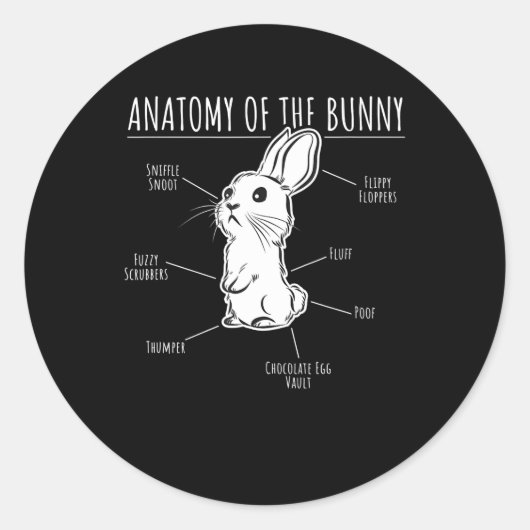 Rabbit Gift |Anatomie van Bunny Cute Rabbit Pet Lo Ronde Sticker (Voorkant)
