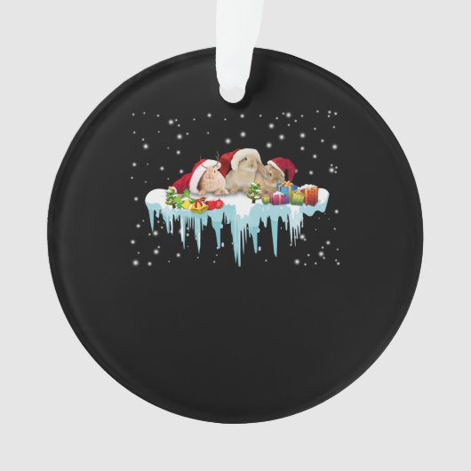 Rabbit Gift | Drie konijnen echt mooi kerstfeest Ornament (voorkant)