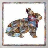 RABBIT: grafisch ontwerp Poster (Voorkant)