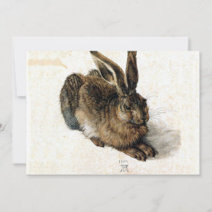 Rabbit Hare in de sneeuw - Durand