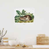 Rabbit Illustration Poster (Keuken)