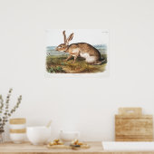 Rabbit Illustration Poster (Keuken)
