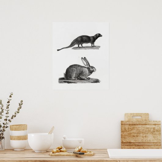 Rabbit Illustration Poster (Keuken)