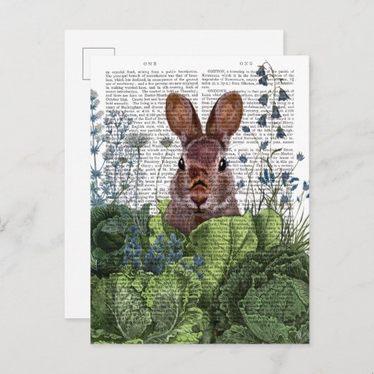 Rabbit in a Cabbage Patch Briefkaart (Voorkant / Achterkant)