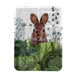 Rabbit in a Cabbage Patch Magneet
