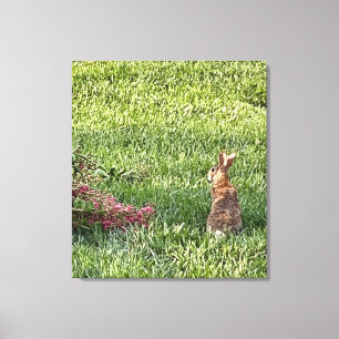 Rabbit in the Grass - Vreedzame Natuur Fotografie Canvas Afdruk