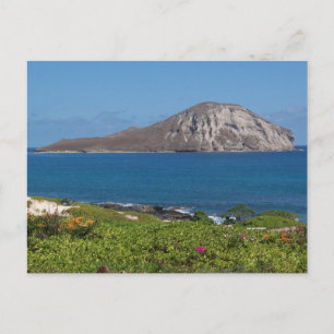 Rabbit Island Oahu Hawaii Briefkaart