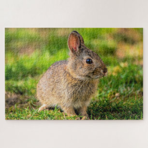 Rabbit Jigzaag Puzzle Legpuzzel