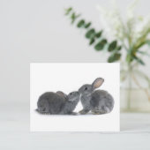 Rabbit Kiss Briefkaart (Staand voorkant)