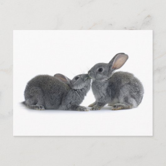 Rabbit Kiss Briefkaart (Voorkant)