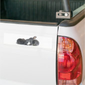 Rabbit Kiss Bumpersticker (Op Truck)