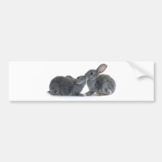 Rabbit Kiss Bumpersticker