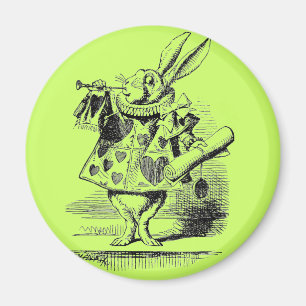 Rabbit Magnet Magneet