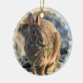 Rabbit Ornament (Links)