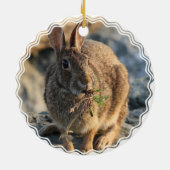 Rabbit Ornament (Achterkant)