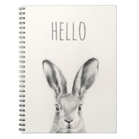 Rabbit Pencil Tekening