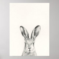 Rabbit Pencil Tekening